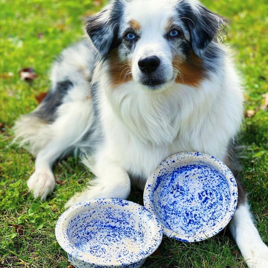 Handcrafted Pottery by A Girl and Her Puppy Pottery | REBECCA SAUVE